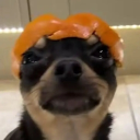 Elite Team (under work) Discord server icon