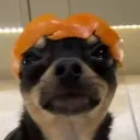 Elite Team (under work) Discord Server Icon