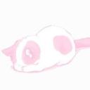 🪷 les Petites Pattes Roses 🐈