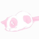 🪷 les Petites Pattes Roses 🐈 Discord server icon