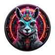 Llamaa Community