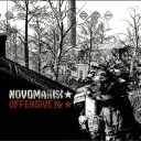 Novomariisk Offensive