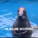 Changed: RP - Español / En man... Discord Server Icon