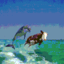 ✭ Marine Enthusiasts  🦈