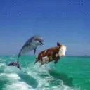  Marine Enthusiasts  Discord Server Icon