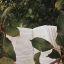 A Forest of Books  نادي قراءة Discord Server Icon