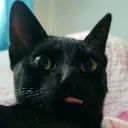 Server - TheKat