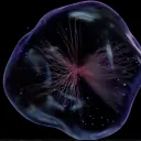 Evolved