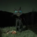 meow