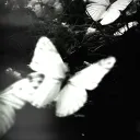 faint