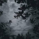 ethereal Server Icon