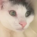 vampirsim Discord Server Icon