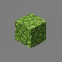 Clover SMP