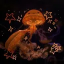 🪼⋆.ೃ࿔*:･𝐉𝖾ᥣᥣ𝗒 𝐒𝗍α𝗋𝗌🪼⋆.ೃ࿔*:･