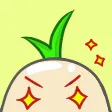 The Turnips