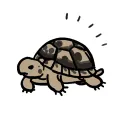 🐢TOWA王国🍅