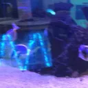 RS Shop Discord Server Icon