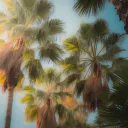 VibeV Social @Loading...