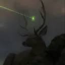 Cryptid Woods ˚. ᵎᵎ Discord Server Icon