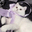 ❥ 友オンリ • social • anime • emotes • giveaways • asktodm icon
