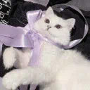 ❥ 友オンリ • social • anime • emotes • giveaways • asktodm