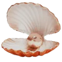 𝒕𝒓𝒂𝒈𝒆𝒅𝒚𝒏𝒐𝒊𝒓.