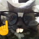 ‹𝟹﹒☁﹒mena's community﹕𖦹 discord icon