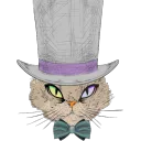 TheCatPack