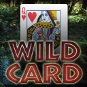 Wildcard