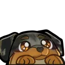 Just Sean's Discord Tbh