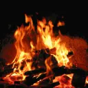 𝐭𝐡𝐞 𝐜𝐚𝐦𝐩𝐟𝐢𝐫𝐞. Discord Server Icon