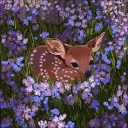 ･Garden Of The Soul･