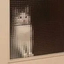 ＿〆(。。)