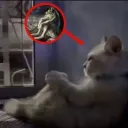 Yabgu İmparatorluğu discord icon