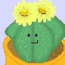 Cacti Network