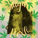 Schmackeddd Shack 💨🍃🍯