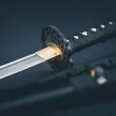真剣    Shinken