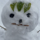 Tag: ICE avatar