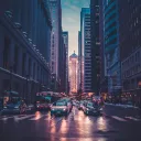 EroFights City
