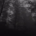 Тишина Discord server icon