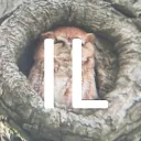 Birding Illinois