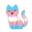 Silly Kitten Kindergarten