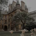Dark Academy