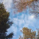 The Geography Community Discord Server Icon