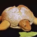 bread cult