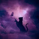 The Kat Corner