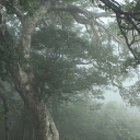 The Sxcrifices Discord server icon