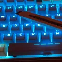 アリスの精神病棟