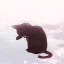 Kittyslove