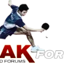 OOAK Table Tennis